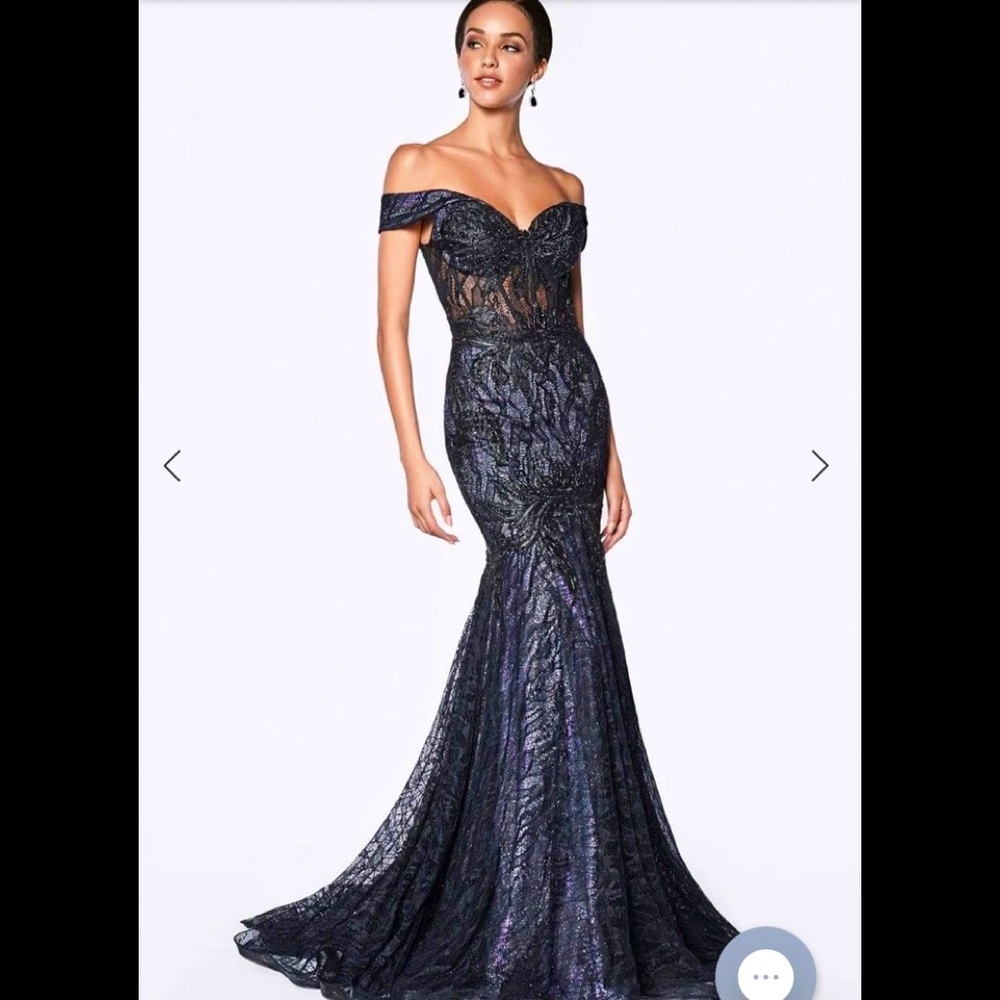 New ! Cinderella Divine Dress!